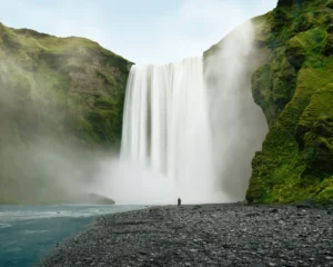 spencer-everett-mIeze0zWyvA